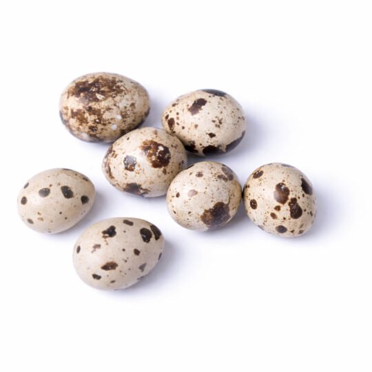 Ovos de Codorna 30 unidades